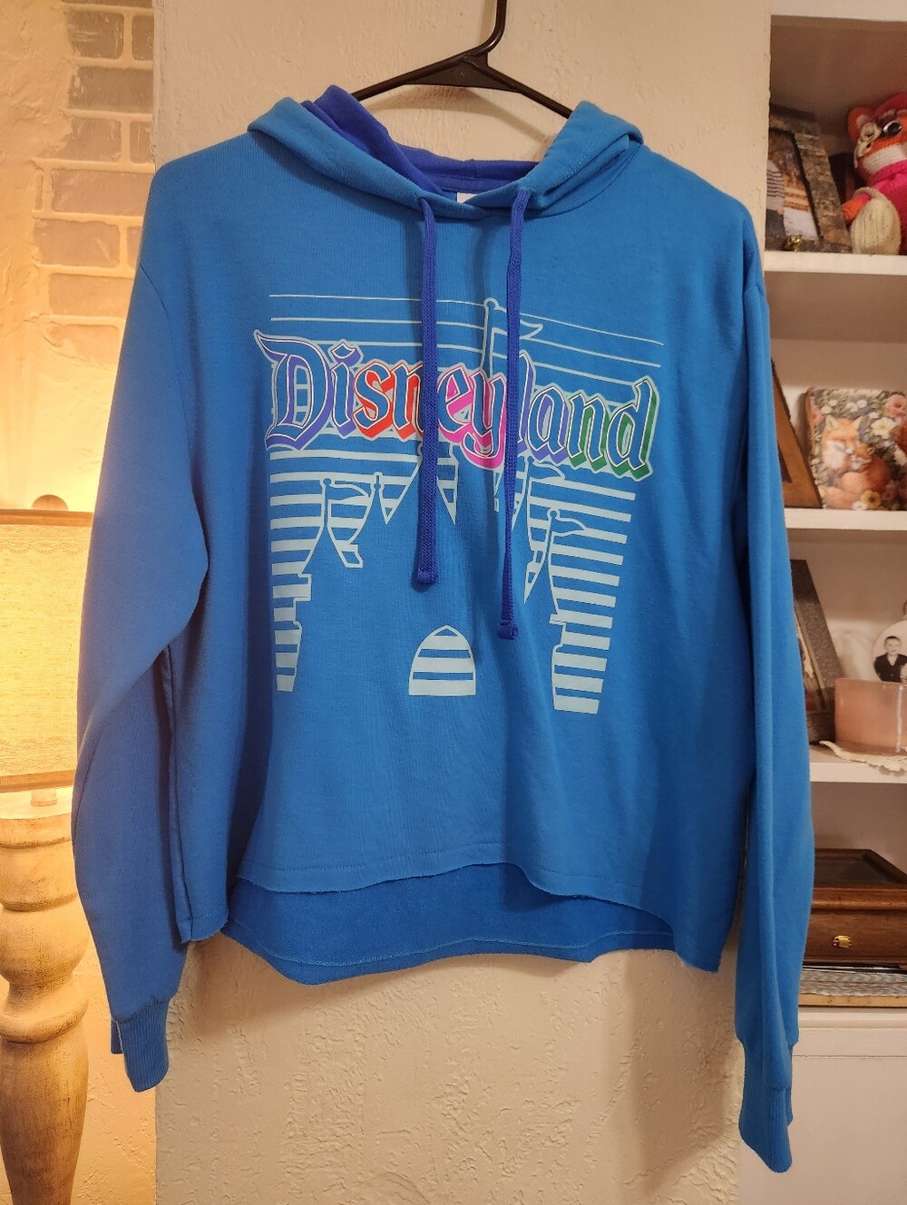Disney Parks Disneyland Cropped Hoodie Size Large P2p 22